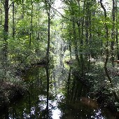 Walterboro Wildlife Sanctuary