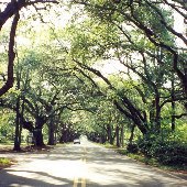 South Boundary Road