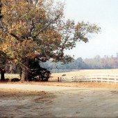 Highway 34 (Lebanon Community)