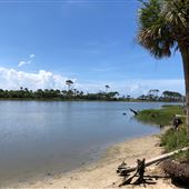 Hunting Island - Pine and Lagoon Trails