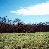 Faulkner Property