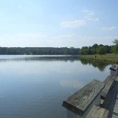 Star Fort Pond