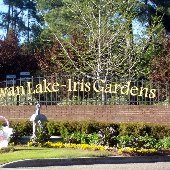 Swan Lake Iris Gardens