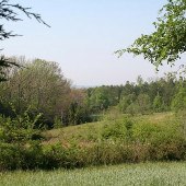 Worth Mountain