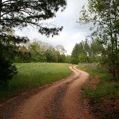 Thrailkill Farm - Roads