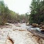 Twin Falls (aka Reedy Cove Falls)