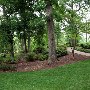 Glencairn Gardens