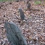 Wall Property w/Graveyard