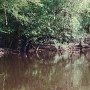 Dead River