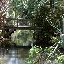Palmetto Islands County Park - Splash Island, Lake, & Overview