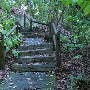 Riverbanks Zoo - Woodland Walk