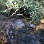 Caesars Head State Park - Wildcat Branch Falls