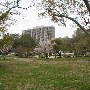 Maxcy Gregg Park