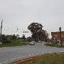 Tigerville