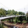 Reedy River Falls Park