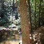 Twin Falls (aka Reedy Cove Falls)