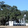 Hampton Plantation State Park