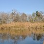 Hampton Plantation State Park
