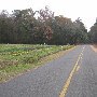 Hartsbluff Road