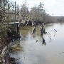 Old Motte-Congaree River