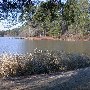 Chester State Park