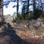 Chester State Park