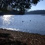 Chester State Park