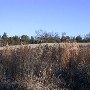 Chester State Park