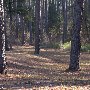 Chester State Park