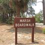 Hunting Island - MARSH BOARDWALK 2011