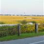 Old Pitt Street Bridge