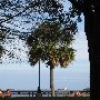 Charleston - General Overview