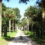 Beech Hill Plantation GROUNDS