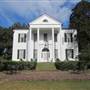 Friendfield Plantation - Overview