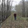 Nemours Wildlife Foundation - "Tupelo Swamp"