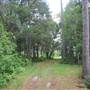 Nemours Wildlife Foundation - Road 3