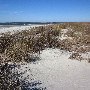 Sullivan's Island - Deserted Beach Area 3