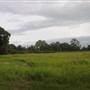 Hamlin Farms - Auggie Field