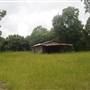 Stono River Stables - LB's Shed