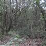 Stono River Stables - Burdens Bank