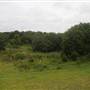 Kiawah River Plantation Larrys Stand