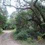 Kiawah River Plantation - Causeway