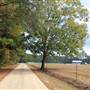 Wappaoolah Plantation - Farm