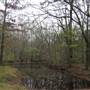 Corner Lake - Swamp in Jasper County