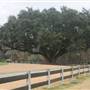 Daniel Island - Island Park Drive