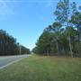 Edisto Island - Highway 174 - Pine Landing Road to Dawhoo Bridge