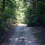 Camp Adger