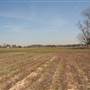 Garners Ferry Road Field