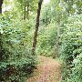Landsford Canal State Park