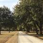 The Blessing Plantation - Mid December Looks